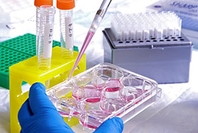 Photo of lab equipment. Link to Tangible Personal Property.