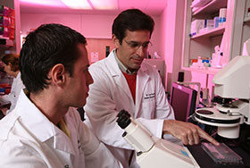 Photo of two scientists talking in the lab. Link to Gifts of Cash, Checks, and Credit Cards.